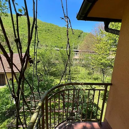 By Expert Vrelo Bosne *