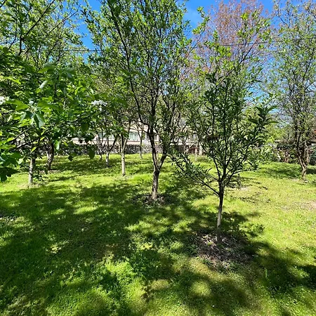 By Expert Vrelo Bosne Villa