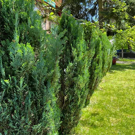 By Expert Vrelo Bosne Villa *